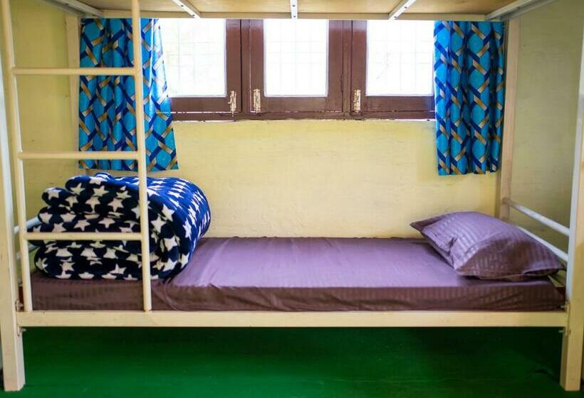 Yellow Bird Hostel & Cafe