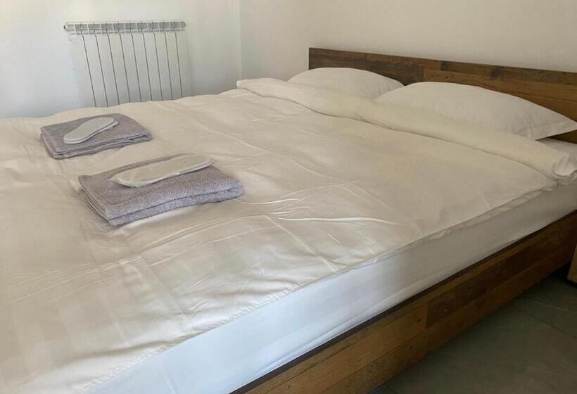 Bed and Breakfast Casa Cojocaru