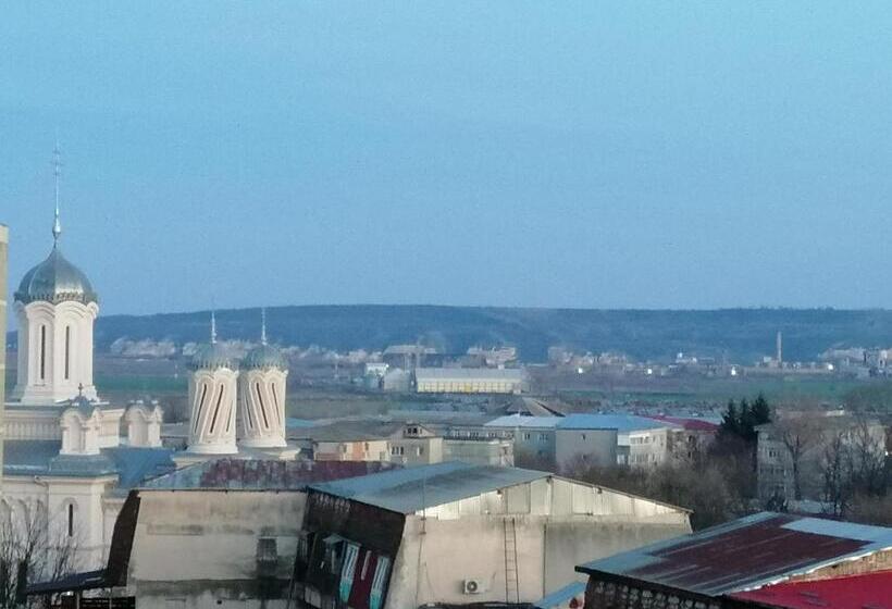 Bed and Breakfast Casa Cojocaru