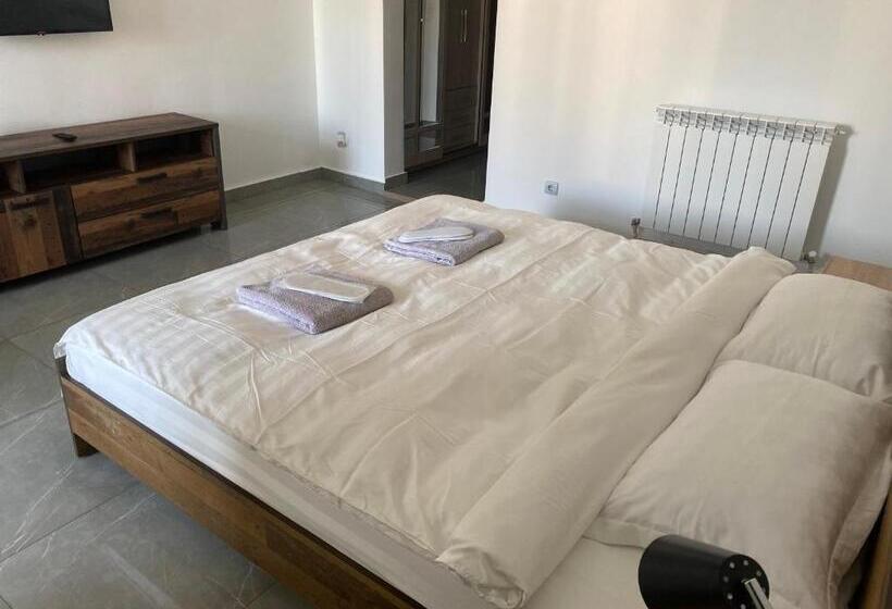 Bed and Breakfast Casa Cojocaru