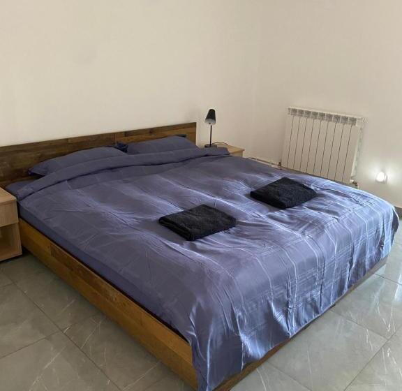 Bed and Breakfast Casa Cojocaru