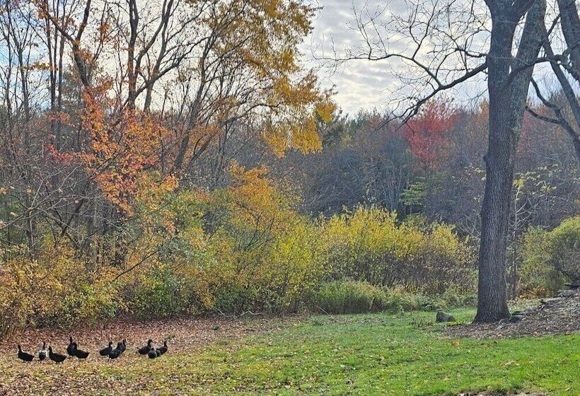 فندق Josiah Keith House