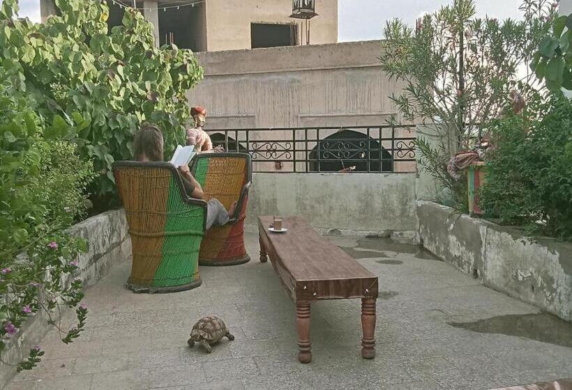 Отель Nirvana Rooftop