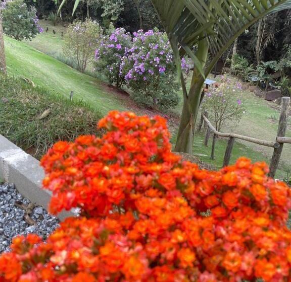 호텔 Pousada Sítio Das Pedras