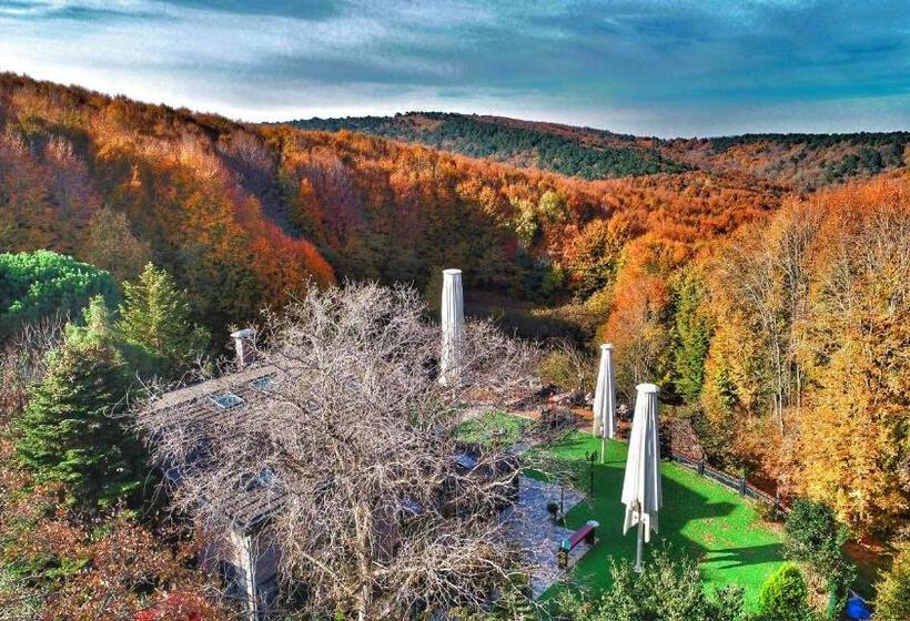 ホテル Vi̇lla Polonez