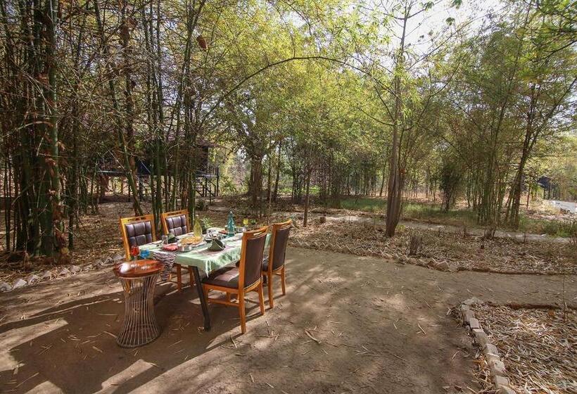 Pench Wilderness Camp Resort