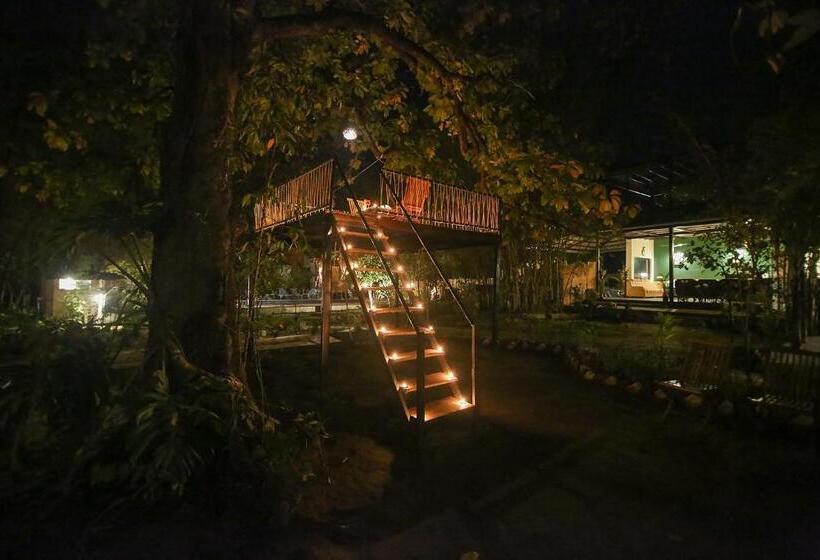 Pench Wilderness Camp Resort