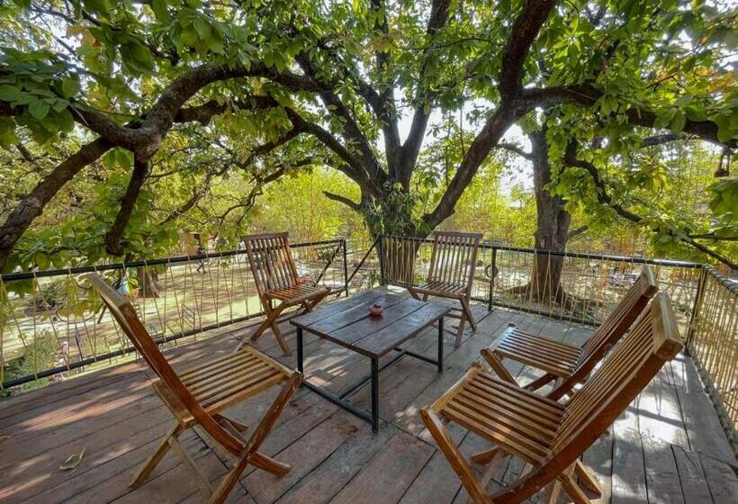 Pench Wilderness Camp Resort