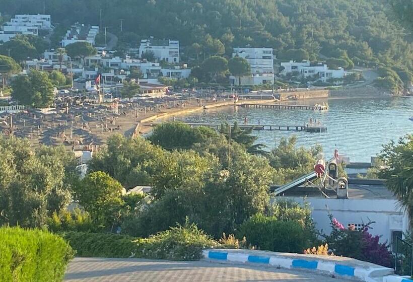 פנסיון Artur Holiday City   Double Room