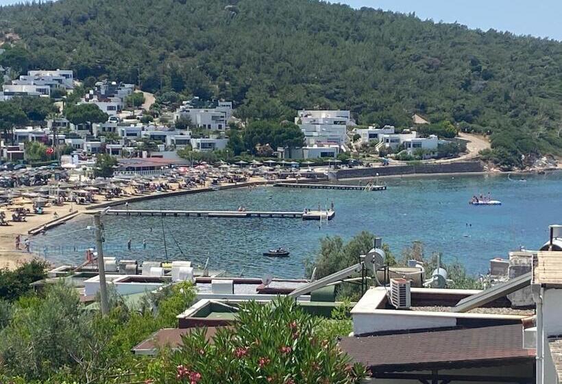 פנסיון Artur Holiday City   Double Room