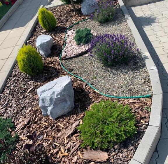 بنسيون Casa Leda