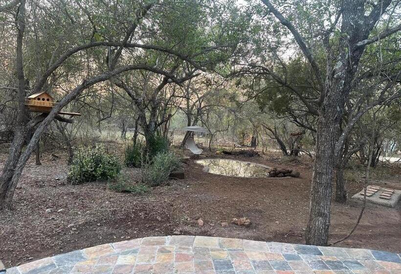 ペンション Casa Safari