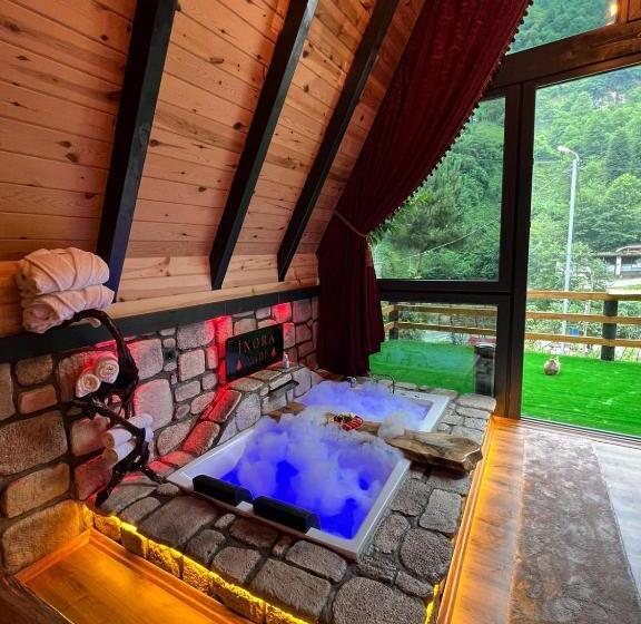 Пансион İnoravadi