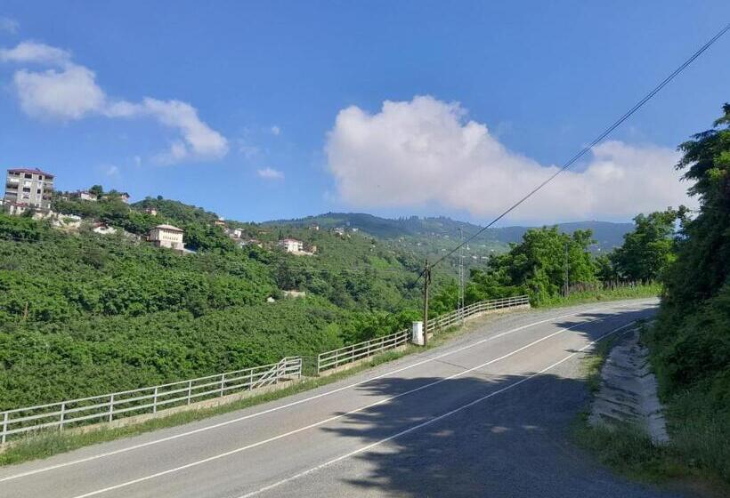 بنسيون Newsuit2023