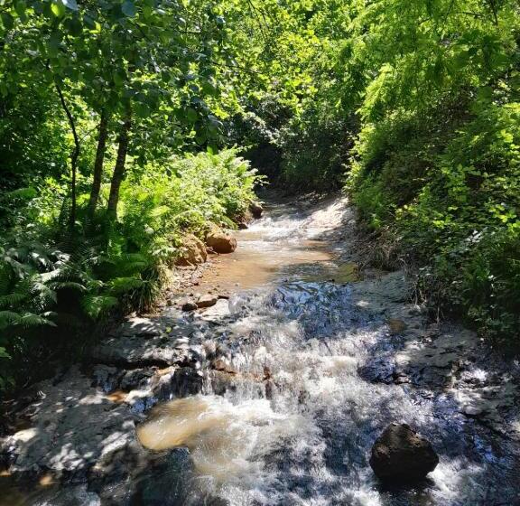 Пансион Newsuit2023