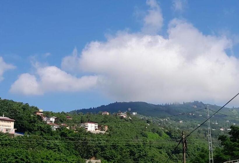 Пансион Newsuit2023