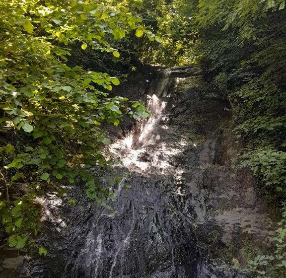 Пансион Newsuit2023