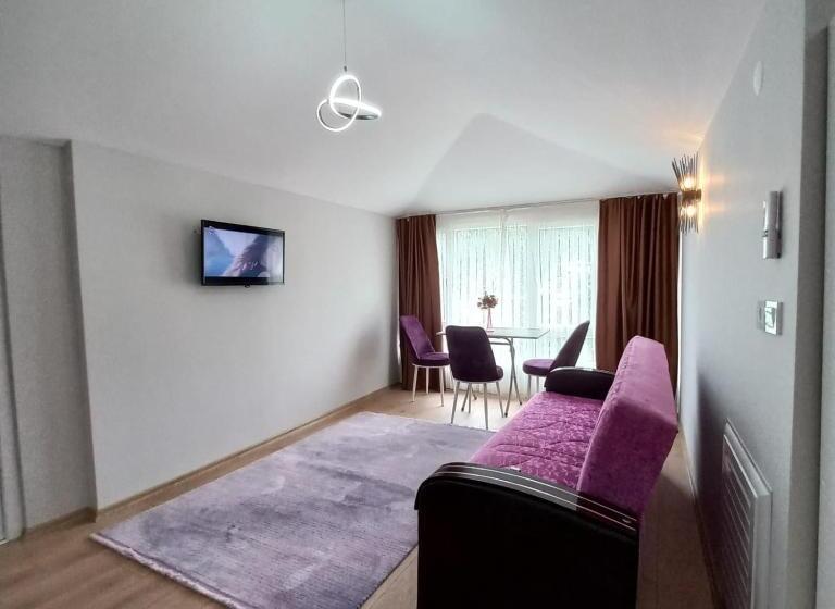 بنسيون Newsuit2023