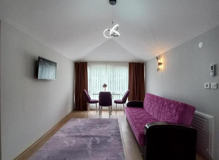 بنسيون Newsuit2023