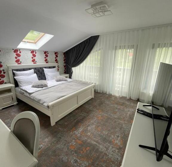 Pensiunea Alexolar New One