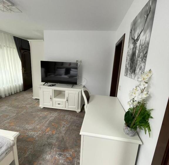 Pensiunea Alexolar New One