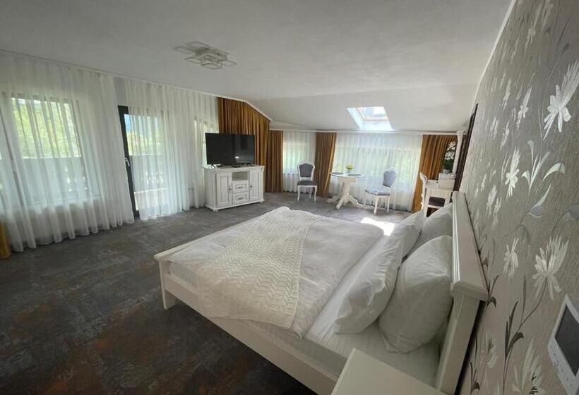 Pensiunea Alexolar New One