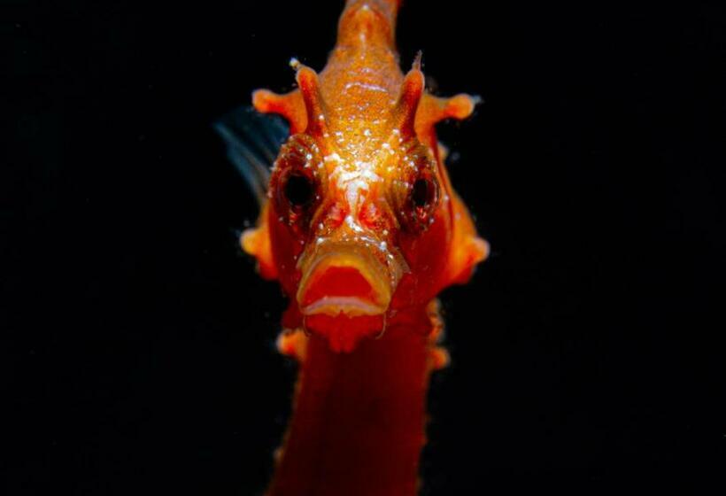 فندق صغير Boutique Hotel Las Eras Beach