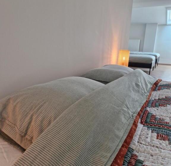 住宿加早餐  Habitat