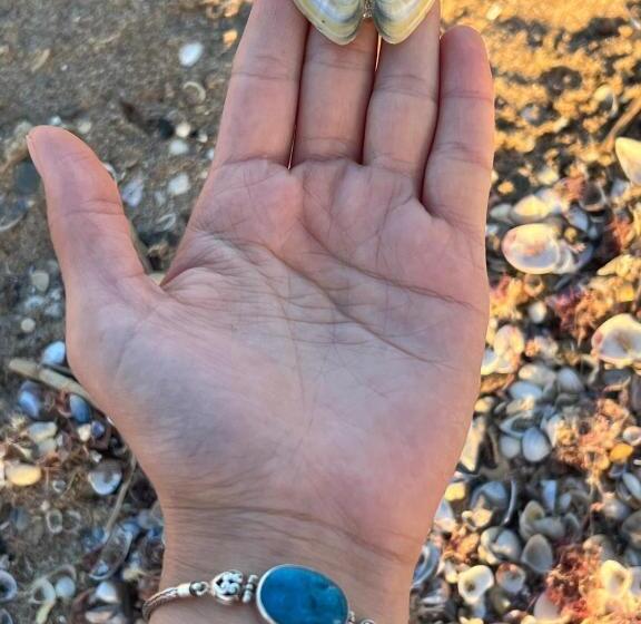 צימר Ağva Secret Garden