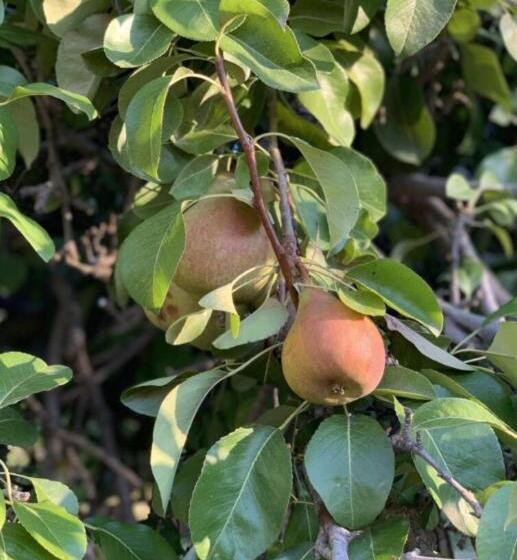 مبيت وإفطار Terra   Casa De Campo