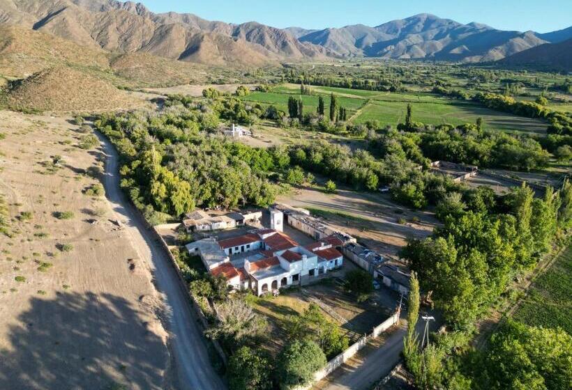 تختخواب و صبحانه Terra   Casa De Campo