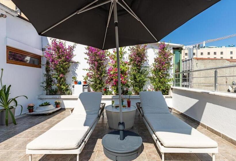 Отель Bdino Boutique