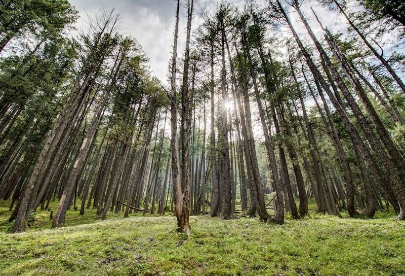 فندق Little Silver