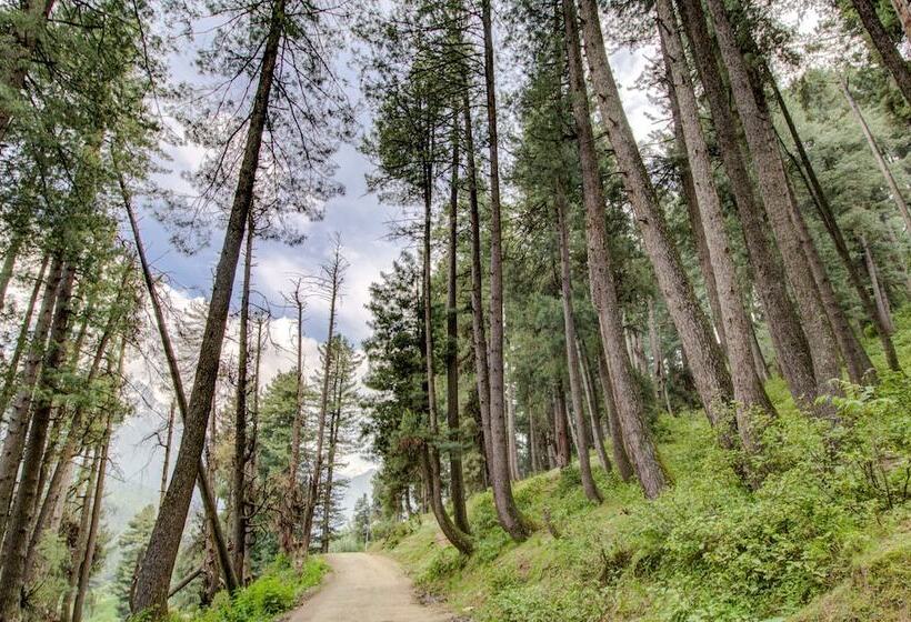 ホテル Little Silver