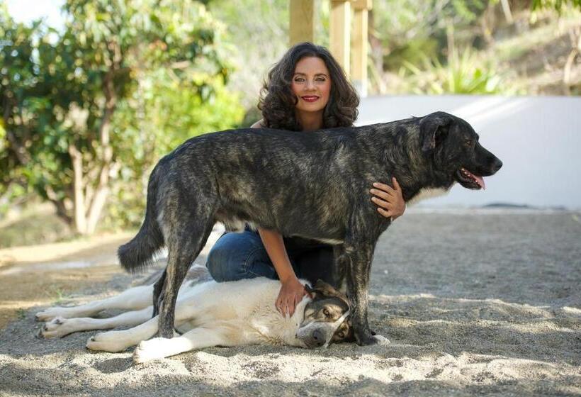 Пансион Finca Altozano Private Pool Unique Client