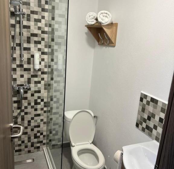 פנסיון Panorama David