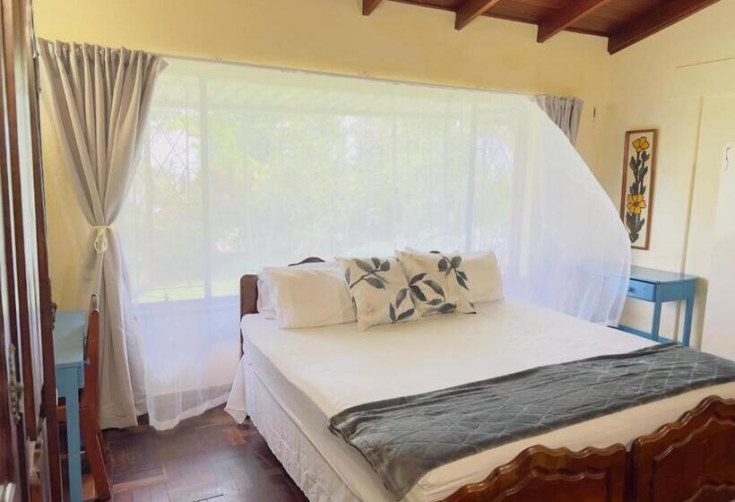 פנסיון Slow And Steady Cottage