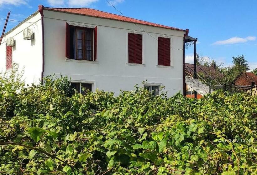 پانسیون Guesthause Bagdati