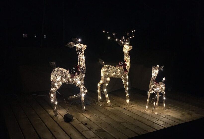 The Blue Cottage B&b