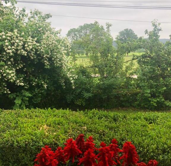 צימר L’absinthe