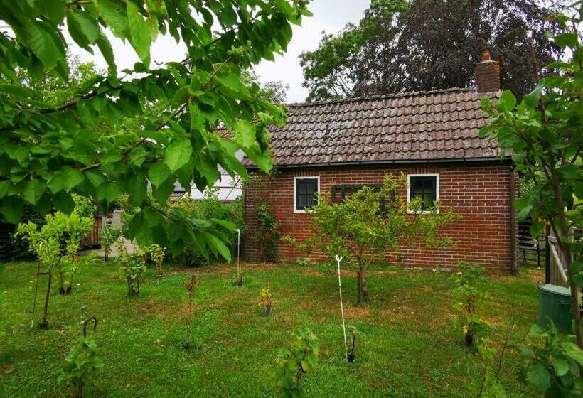 ベッドアンドブレックファースト Trekkershut   Tiny House   Hikers Cottage