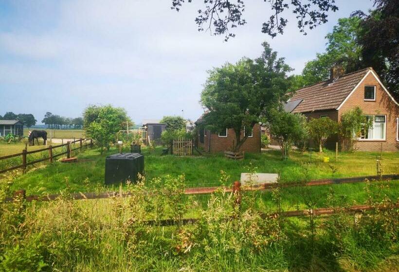 ベッドアンドブレックファースト Trekkershut   Tiny House   Hikers Cottage