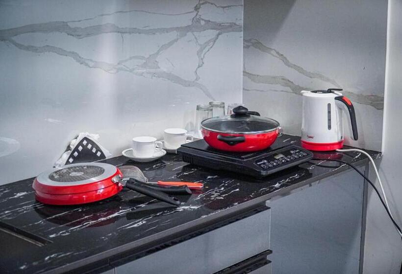 هتل The Leaf Studio Medanta