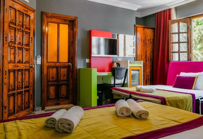 בית מלון כפרי Orange Owl