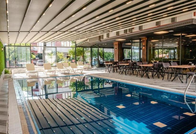 בית מלון כפרי Orange Owl