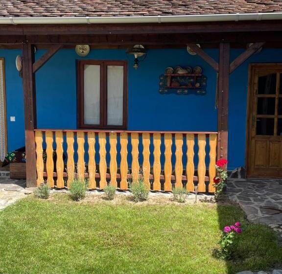 펜션 La Novaci Porumbacu De Sus 270