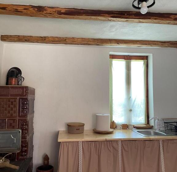 펜션 La Novaci Porumbacu De Sus 270