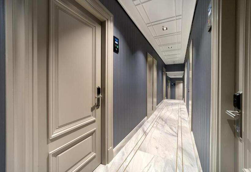 Plat Inn Hotel Taksim   Special Category