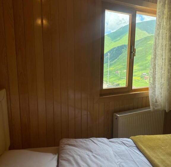 Demirkapı Brown House