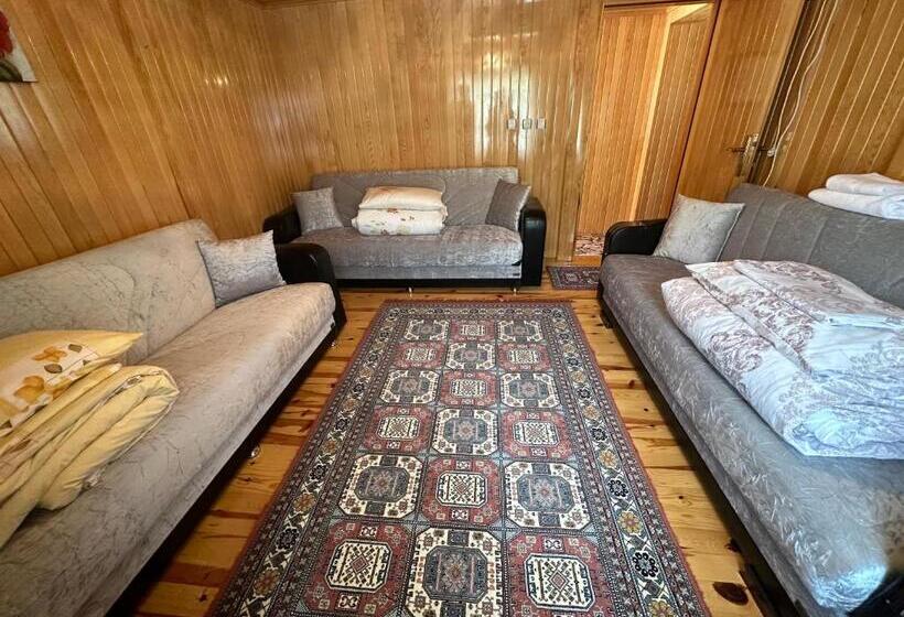 Demirkapı Brown House